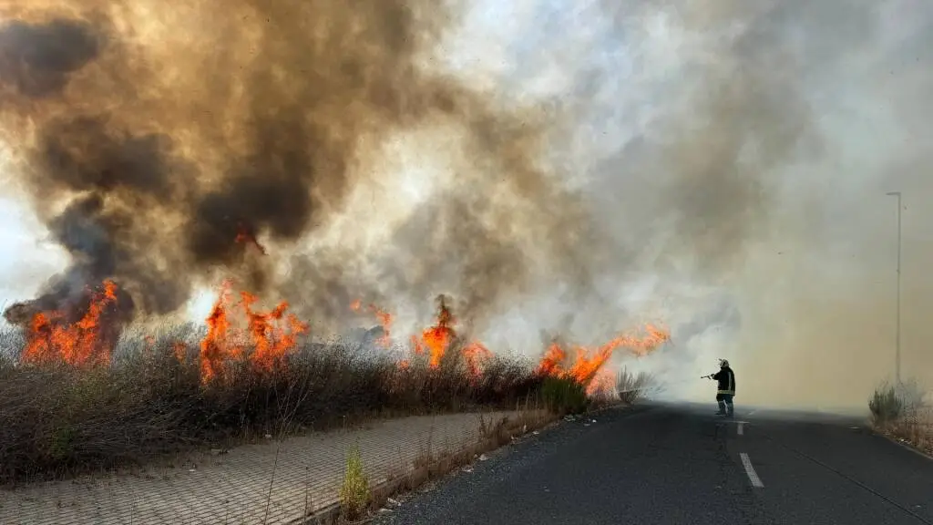 Incendio a Fiumicino, le fiamme divampano a Pleiadi