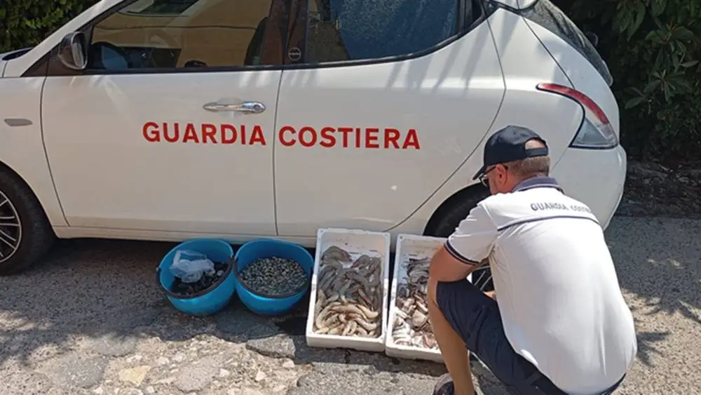 Vendono pesce non tracciato: sequestrati 38 chili sul lungomare di Minturno