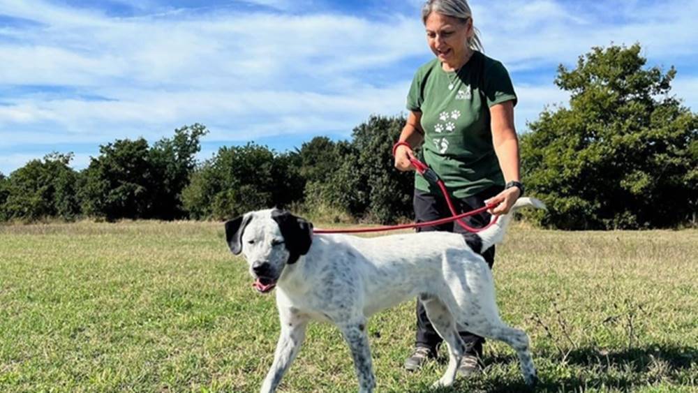 associazioni cani