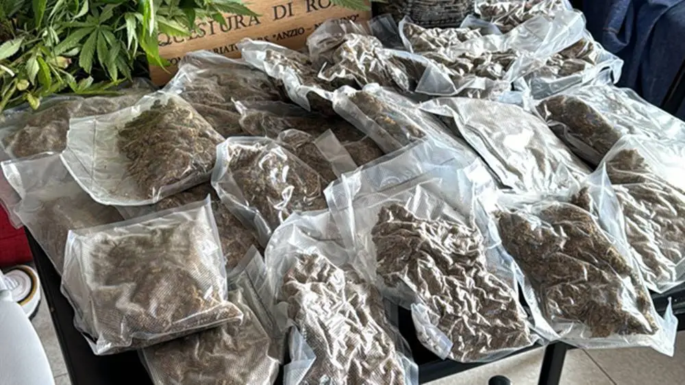 Anzio, coltivava marijuana in casa: arrestata pusher