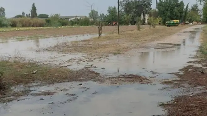 Maltempo, danni in agricoltura: vitigni danneggiati, allagamenti e serre divelte