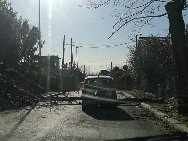 L'auto colpita dall'albero caduto in via Franzoni