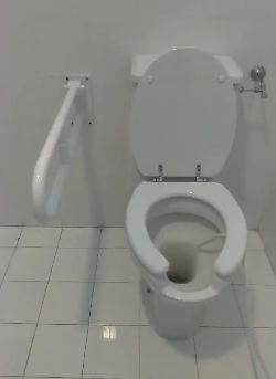 maniglione bagno disabili Sala Sandro Pertini