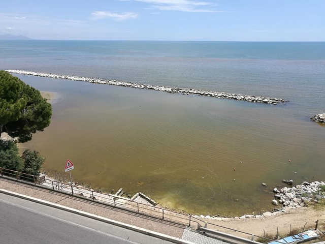 Macchie marroni nel mare di Formia, il Sindaco: "È fioritura algare"